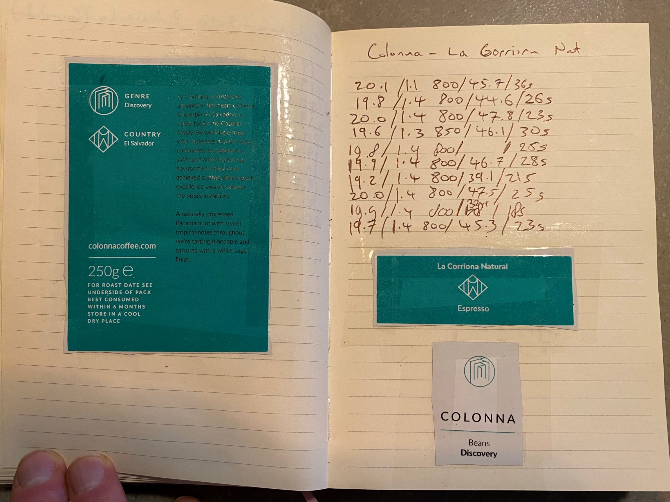 Colonna Coffee Pacamara